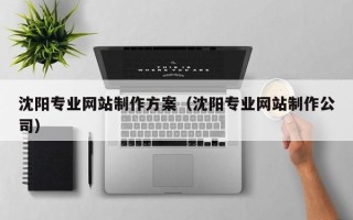 利津沈阳专业网站制作方案（沈阳专业网站制作公司）